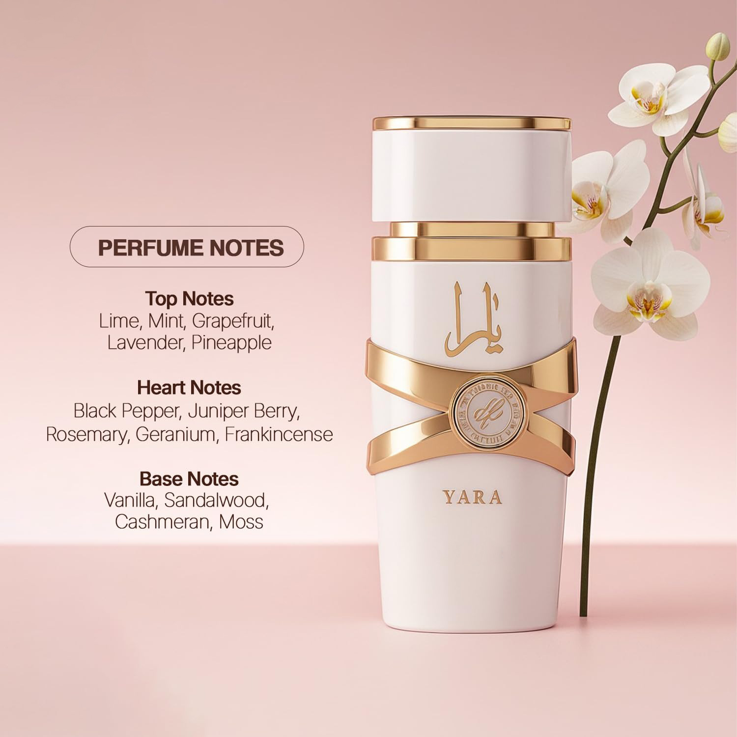 Yara Moi - 3.4 oz Floral, Frui - Yara Perfume Fragrance ulasan dan harga
